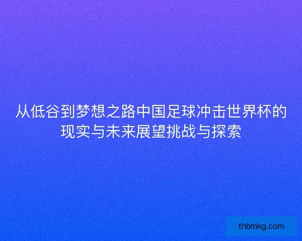 从低谷到梦想之路中国足球冲击世界杯的现实与未来展望挑战与探索